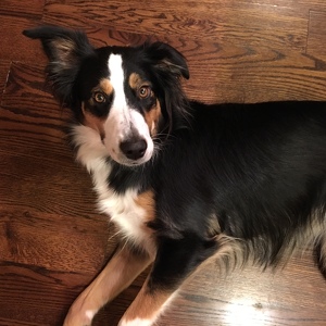 Fundraising Page: Tonie Stephens